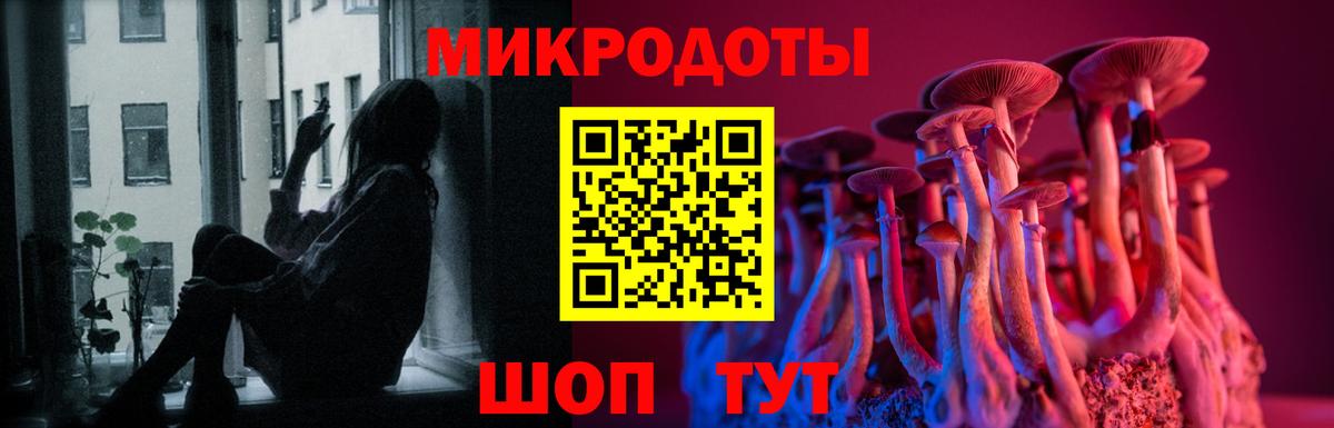 где продают наркотики  Вход с VPN  Псилоцибиновые грибы MAGIC MUSHROOMS  Советская Гавань  Галлюциногенные грибы Magic Shrooms 